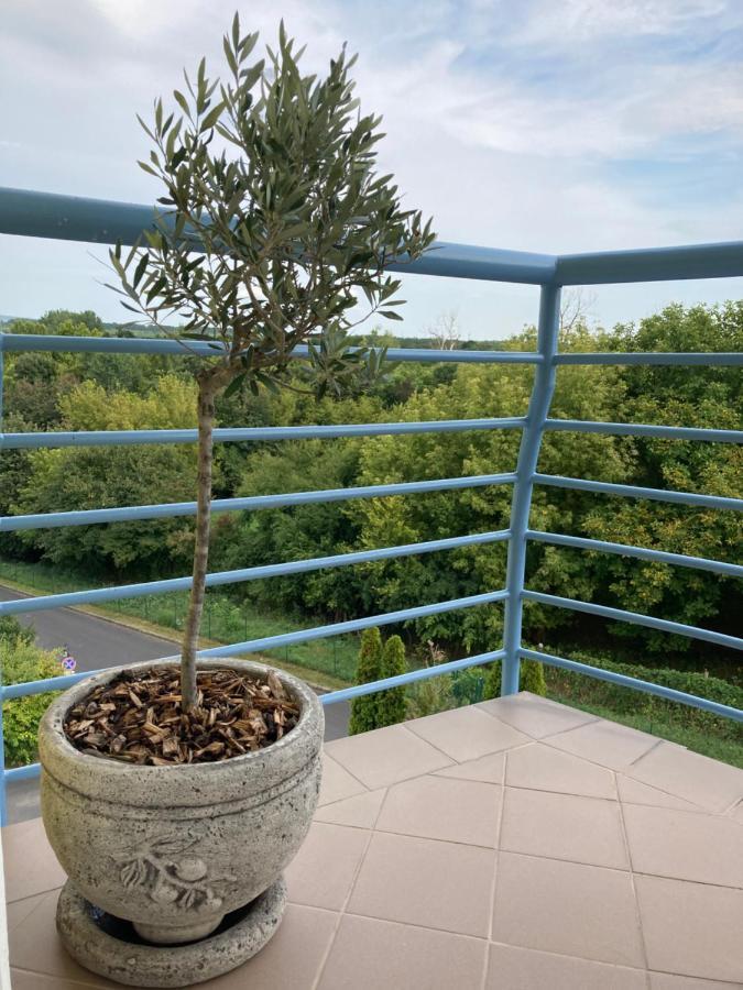 Libellula Apartman Hévíz מראה חיצוני תמונה